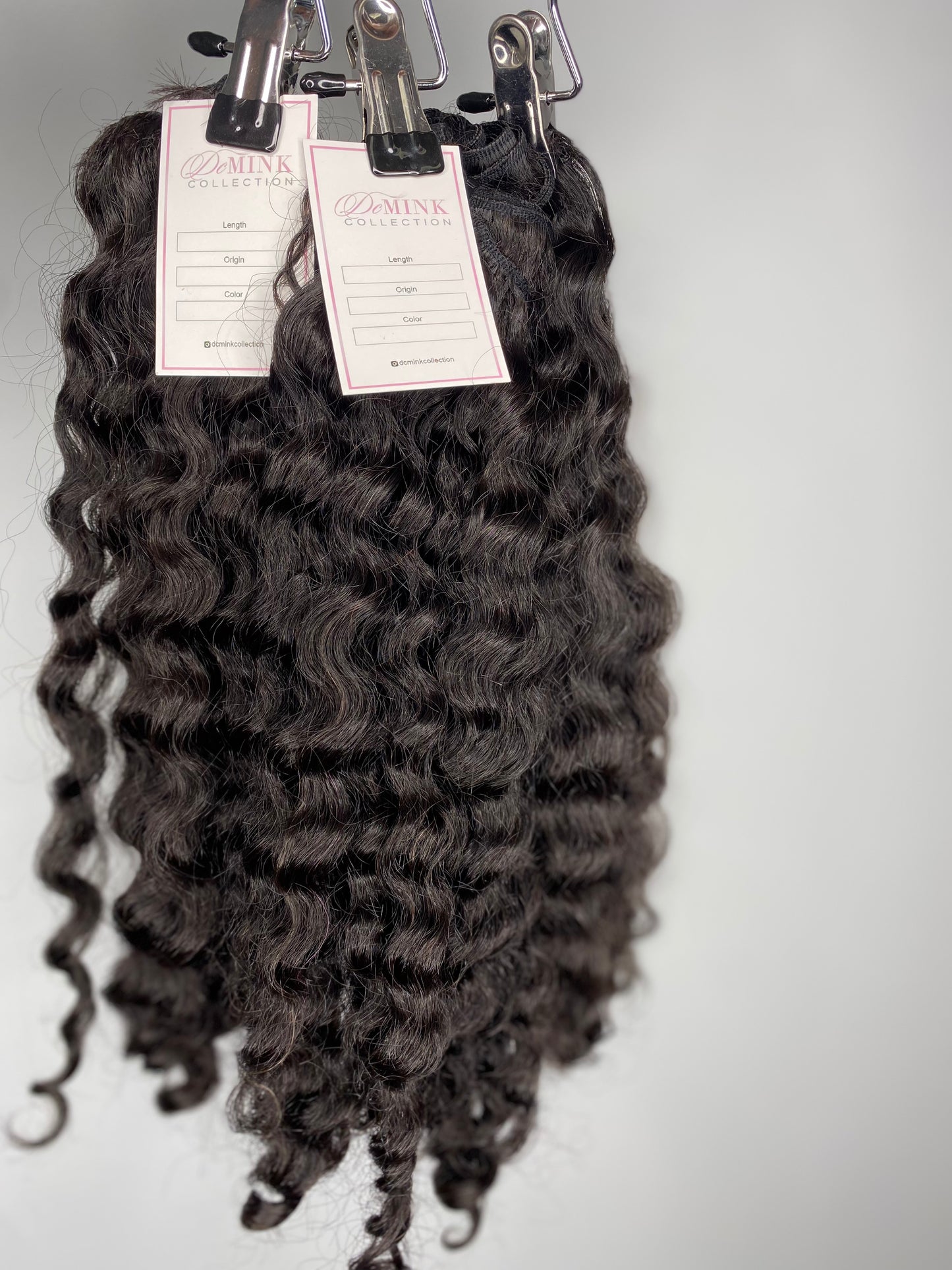 Burma Curly